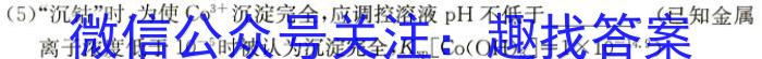 q【湛江一模】湛江市2024年普通高考测试（一）化学