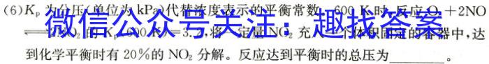 河南省驻马店市2024年九年级第一次中招模拟试卷化学