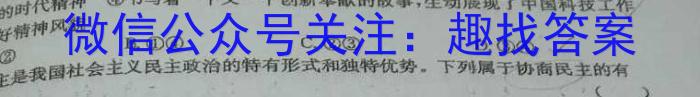 2024届湖南省高二2月联考(24-350B)政治试卷d答案