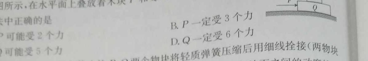 [今日更新]四川省2024届高考冲刺考试(二)2.物理试卷答案