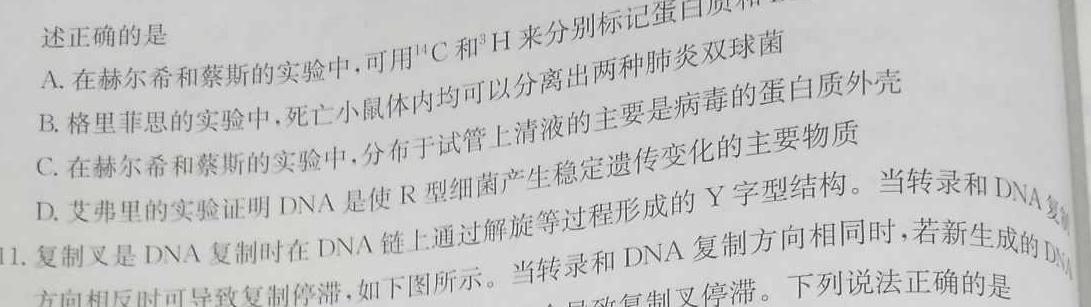 陕西省2023-2024学年度第二学期高一年级4月联考生物学试题答案