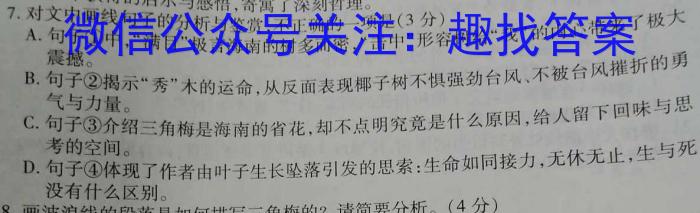 邕衡金卷·名校联盟 柳州高中、南宁三中2024届一轮复习诊断性联考语文