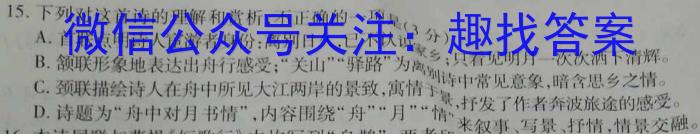 陕西省渭南市富平县2023-2024学年度第二学期高二期末质量检测语文