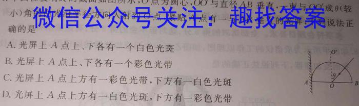 江西省赣州市瑞金市某校2024年春九年级第一次阶段练习物理