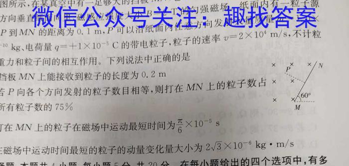 2024年河南省普通高中招生考试模拟试卷(密卷一)q物理