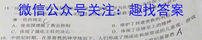 安徽省2024年中考密卷·先享模拟卷(二)2历史试卷答案