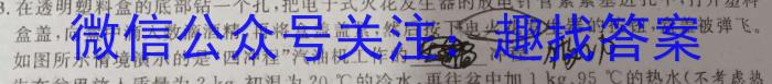 河南省许昌市2024年九年级第三次中考模拟试卷物理试卷答案