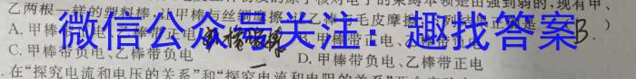 安徽省毛坦厂中学2023~2024下学期期中考试高一(241728D)h物理