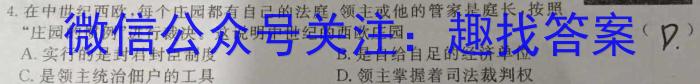 天一大联考·陕西省2024届高三年级4月联考历史试卷