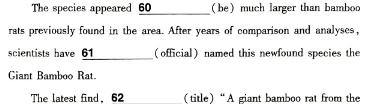 河南省2023-2024学年七年级第一学期期末教学质量检测英语试卷答案