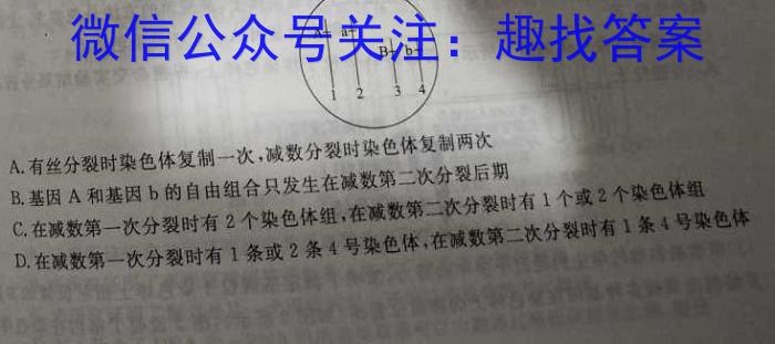 1号卷 A10联盟2022级高二下学期2月开年考生物学试题答案