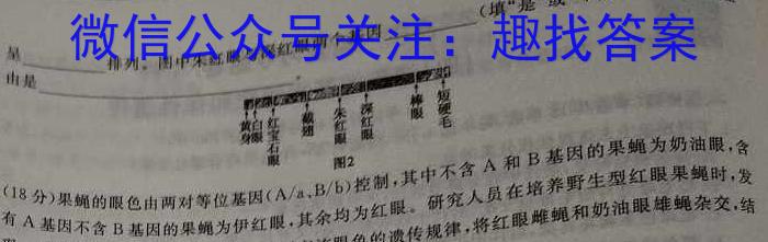 陕西省西安市交通大学附属中学2024届九年级第一次模拟考试生物学试题答案