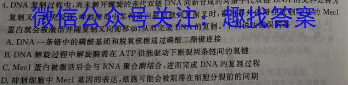 2024年湖北省新高考信息卷(四)4生物学试题答案