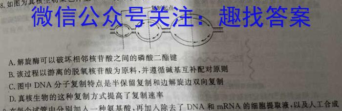 ［齐齐哈尔二模］齐齐哈尔市2024届高三年级第二次模拟考试生物学试题答案