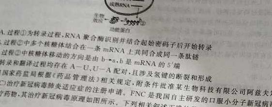 皖智教育 安徽第一卷·2024年安徽中考第一轮复习试卷(五)5生物