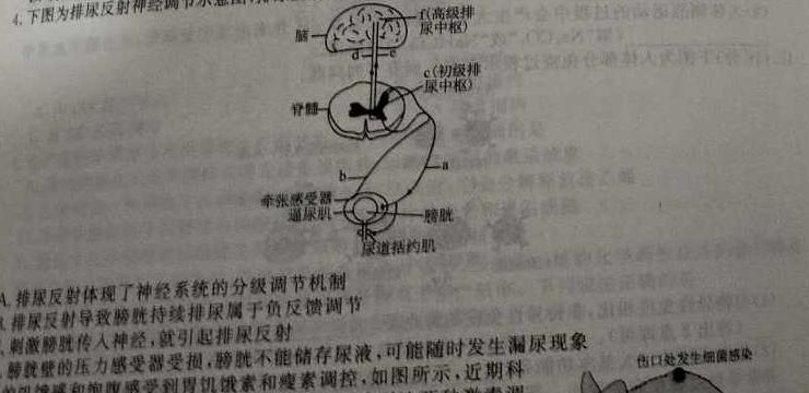 中考必刷卷·2024-2025学年安徽省九年级上学期开学摸底调研生物学部分