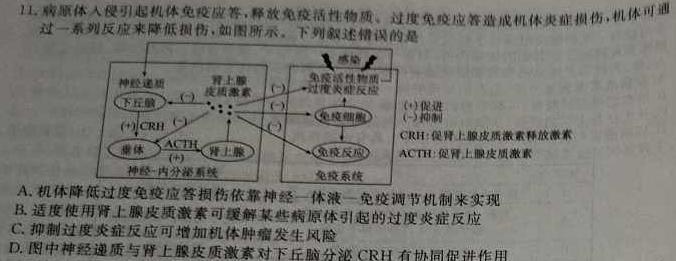 2024届重庆市名校联盟2023-2024学年度高全真模拟考试生物