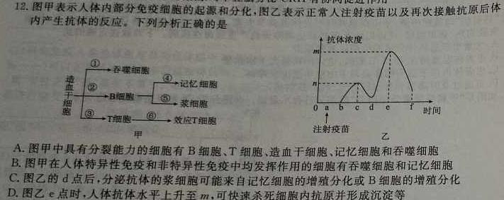 湖北省黄冈市2024年秋季七年级入学质量检测(2024年春湖北省知名中小学教联体联盟)生物学部分