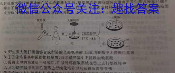 2024届湖北省高中名校联盟高三第四次联合测评生物学试题答案