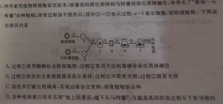 安徽省宿州市省、市示范高中2023-2024学年度高一第二学期期中教学质量检测生物