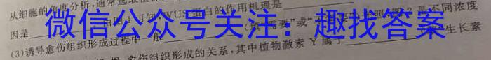 河北省2025届高三年级大数据应用调研联合测评(I)生物学试题答案