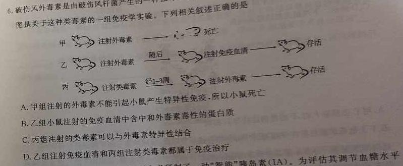 2024年陕西省初中学业水平考试仿真卷(六)6生物学部分