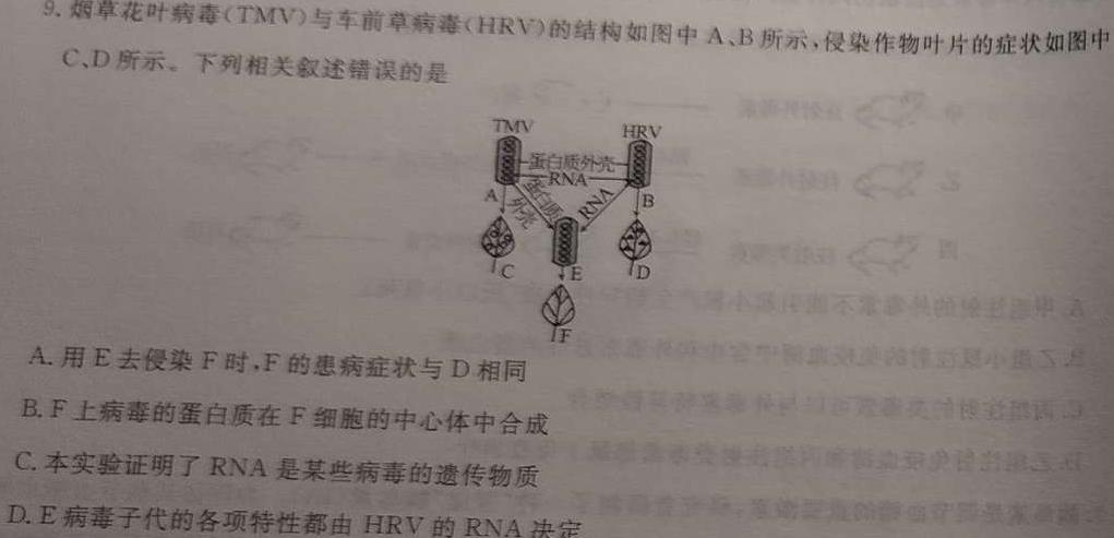 安徽省2023~2024学年度八年级综合模拟卷(一)1MNZX A AH生物学部分