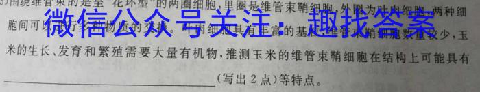 四川省成都市蓉城名校联盟2023-2024学年高三下学期第三次联考生物学试题答案