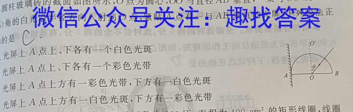 2024年广东省九年级学业水平模拟检测题(24-CZ199c)物理试卷答案