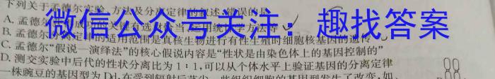 天一大联考 湖南省2024届高三5月联考(5.24)生物学试题答案