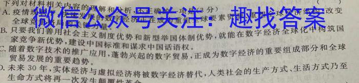 安徽省2023-2024学年度八年级阶段质量检测（6月）语文