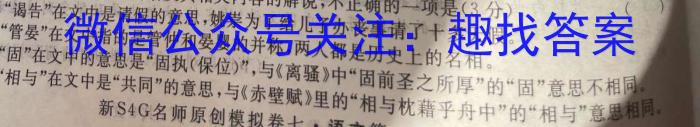 衡中同卷·2023-2024学年度下学期高三年级一调考试（新高考/新教材）语文