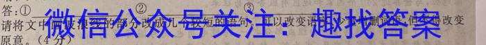 甘肃省2024年兰州市九年级诊断考试语文