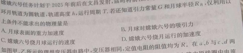 九师联盟 2024-2025学年洛阳强基联盟高一10月联考-(物理)试卷答案
