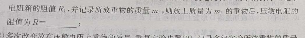 陕西省2024届九年级仿真模拟示范卷（一）物理试题.