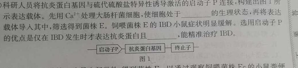 2024年河南省普通高中招生考试中考抢分卷(B)生物学部分