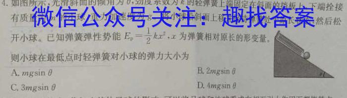 河北省2023~2024学年下学期高二年级第二次月考(242848D)物理`