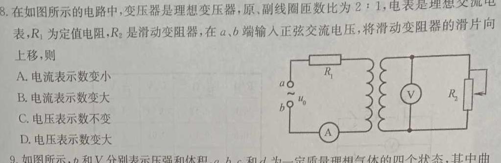 河南省2023~2024学年度七年级上学期阶段评估(二)[3L-HEN]物理试题.