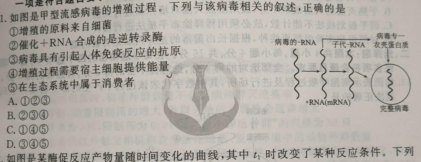 ［甘肃大联考］甘肃省2025届高三年级上学期9月联考生物