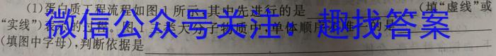 金科大联考·山西省2023-2024学年高一年级第二学期4月联考生物学试题答案