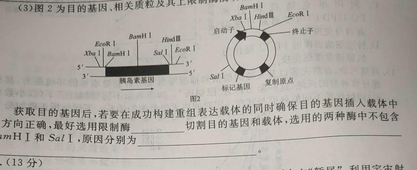 2024届 青海省高三4月联考(弧边菱形)生物