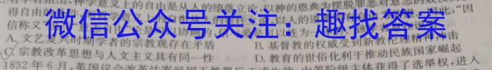 湖南省2024年11月湖湘教育三新探索协作体高一期中联考历史试卷