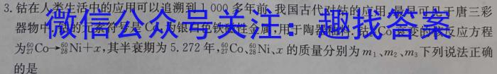 2024㶫ʡпģ()xԾ