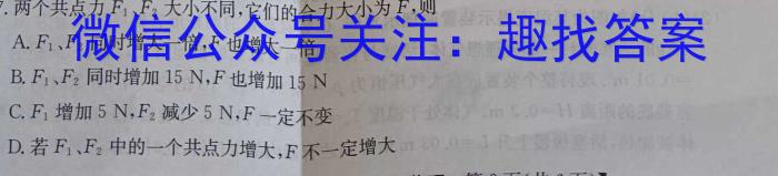 安徽省2024-2025学年上学期八年级开学考试（无标题VII）物理`