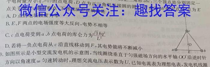 2024年湖北省新高考信息卷(四)q物理