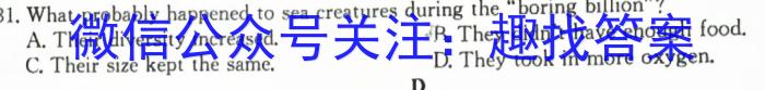 2024届安徽省九年级中考真题英语试卷答案