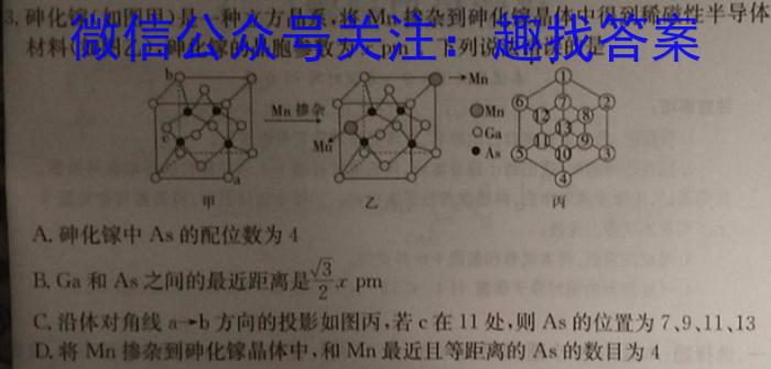 q河南省高二驻马店市2023-2024学年度第二学期期终质量监测化学