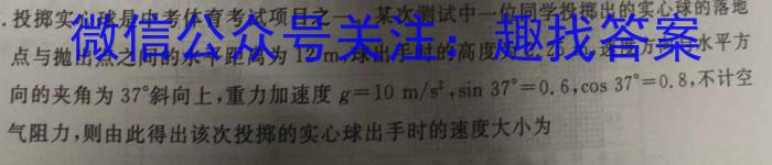 2024年河北省初中毕业生升学文化课考试模拟试卷（十二）物理试题答案