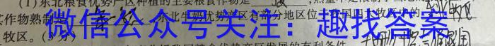 湖北省武汉市部分重点中学2023-2024学年度下学期期中联考高一地理试卷答案