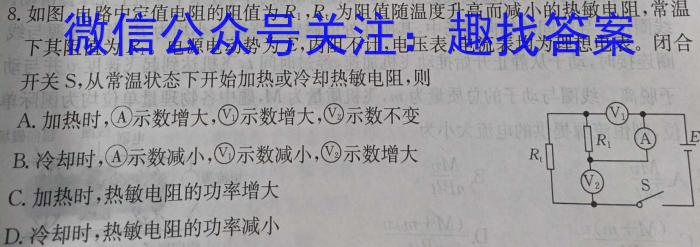 2024江西学考总复习猜想九年级模拟冲刺(一)物理试题答案